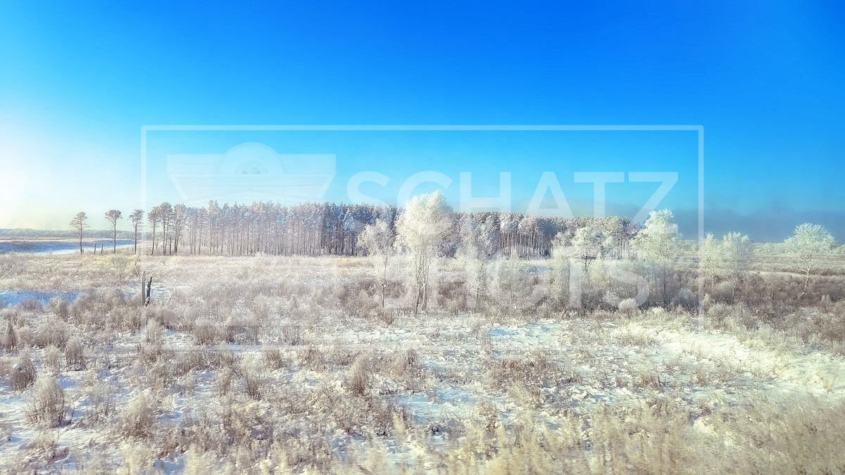 Winter Landscape in Russia